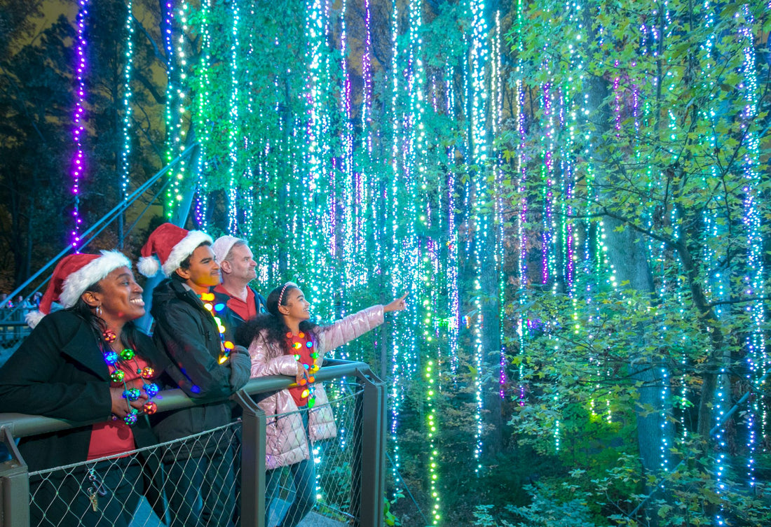 The Most Magical Things to Do In Atlanta in December