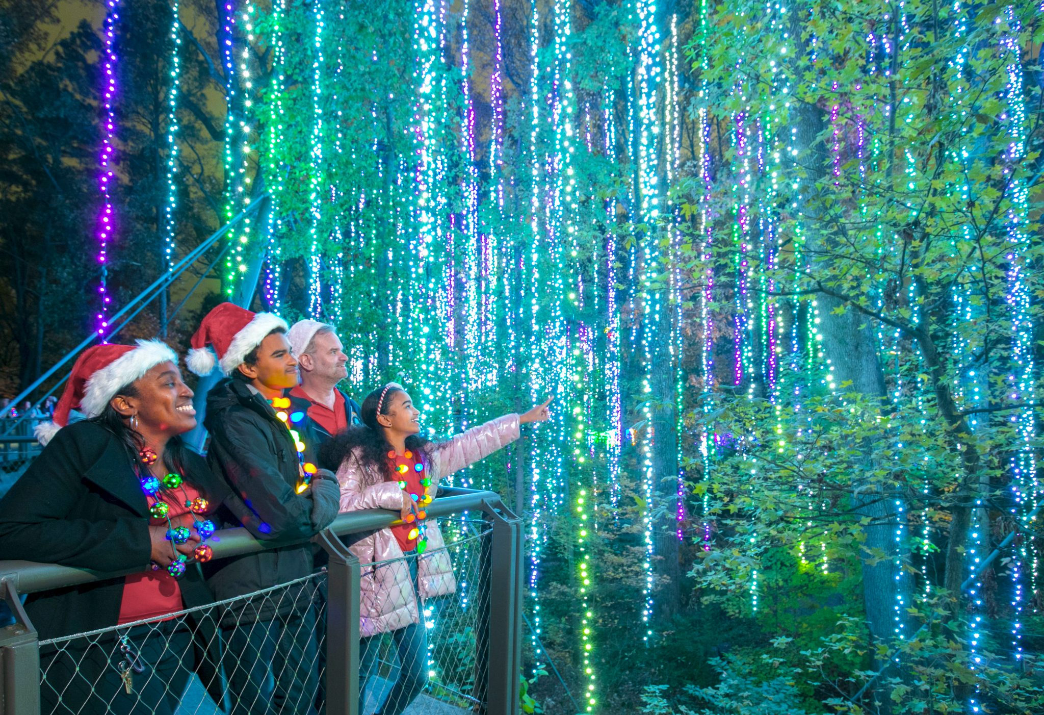 The Most Magical Things to Do In Atlanta in December